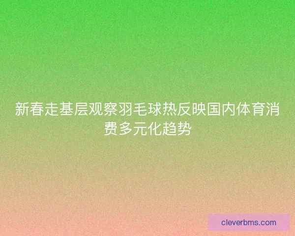 新春走基层观察羽毛球热反映国内体育消费多元化趋势